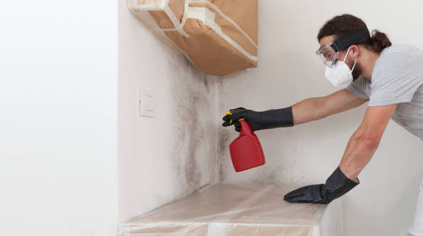 Professional Mold Remediation technician working in Lawnside, NJ