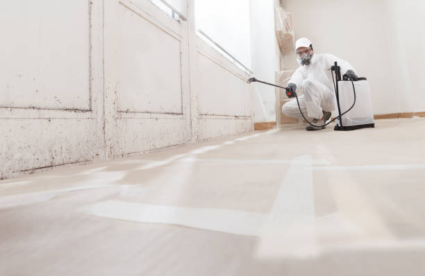 24/7 Emergency Mold Remediation experts in Lawnside, NJ