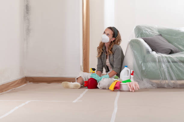 Reliable Mold Remediation contractor in Lawnside, NJ by Car Mold Remediation